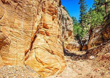 Lick Wash Trail Hike