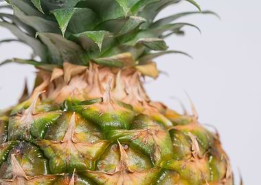 close up fresh pineapple
