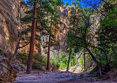 Lick Wash Trail Hike