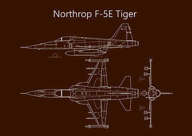 Northrop F5E Tiger