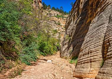 Lick Wash Trail Hike