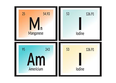 Elements of Miami City
