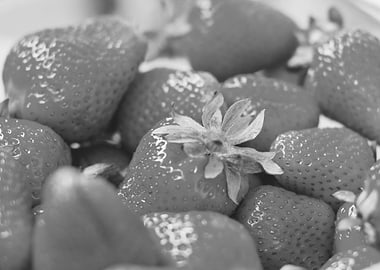 strawberries gray