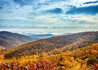 Autumn in Shenandoah