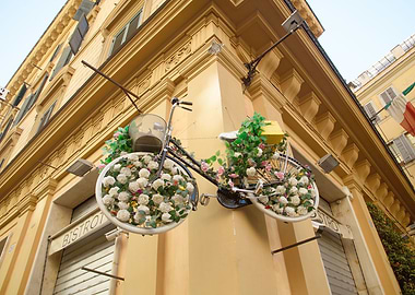 Flowery Bicycle in Rome 1