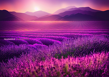 VALENSOLE FRANCE