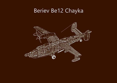Beriev Be12 Chayka
