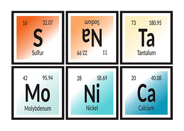 Element of Santa Monica