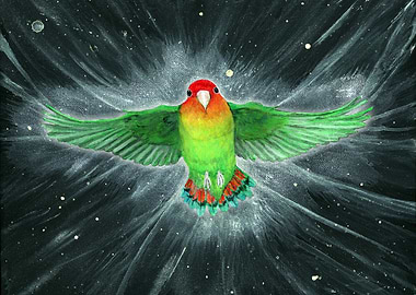 Flying lovebird