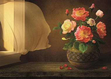 flower rose in the windows