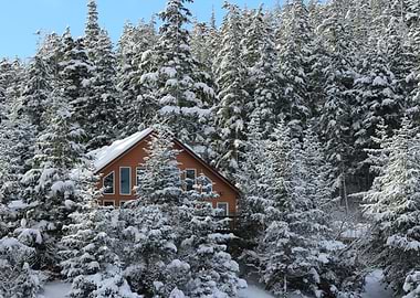 Hidden snow cabin