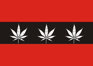 amsterdam funny flag