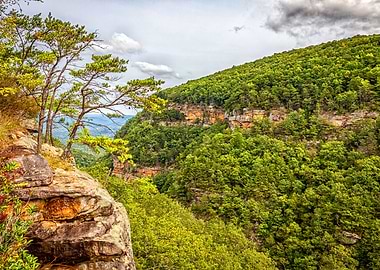 Cloudland Canyon