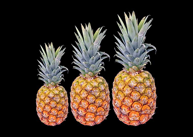 pineapple