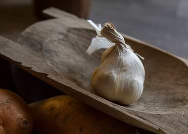 Fresh Garlic