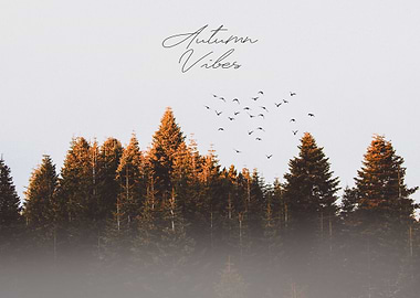 Autumn Vibes
