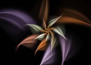 Flower Petals Abstract