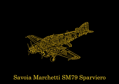 Savoia Marchetti SM79