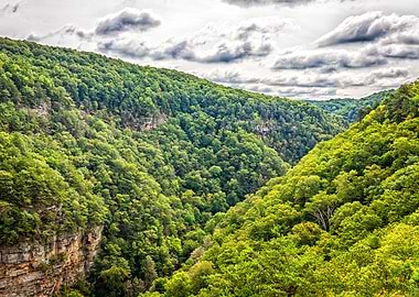 Cloudland Canyon
