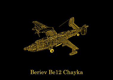 Beriev Be12 Chayka