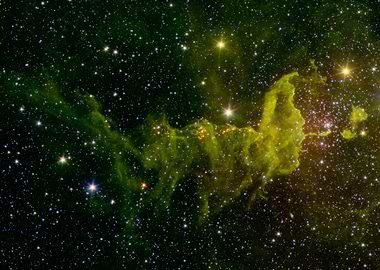 The Spider and the Fly