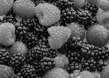 blackberry raspberry gray