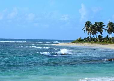 Sandy Sea Palm Beach