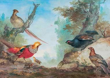 Pheasants ca 1730