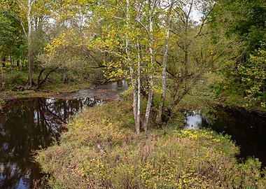 Autumn at Mill Creek