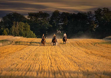 Horse,racing,cowgirl,ranch