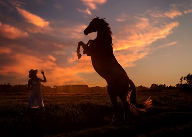 Black Horse, girl, sunset