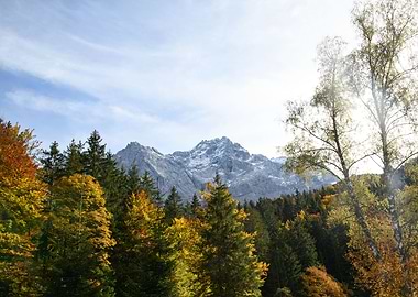 Mountain Tree Bliss 1