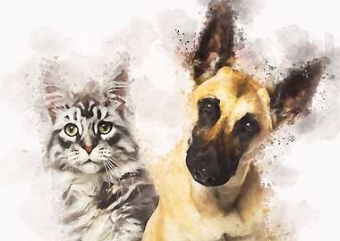 belgian shepherd dog