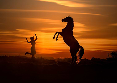 Black Horse, girl, sunset
