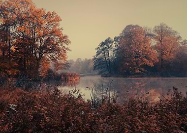 Autumn foggy lake in park