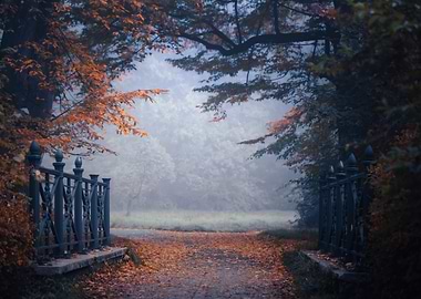 Autumn alley among trees