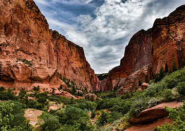 Zion Park Orange Landscape