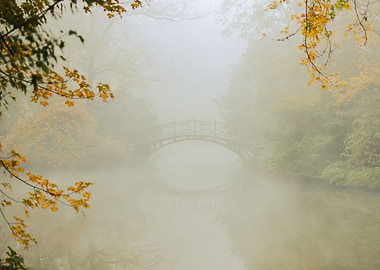 Misty autumn morning, pond