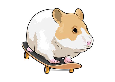 Hamster Skater Skateboard