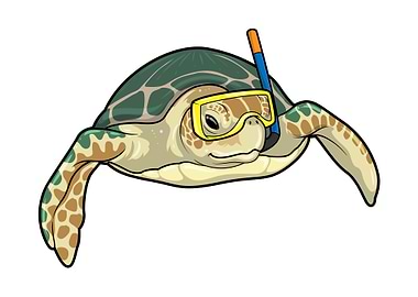 Turtle Diver Snorkel