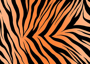 Tiger Fur Texture