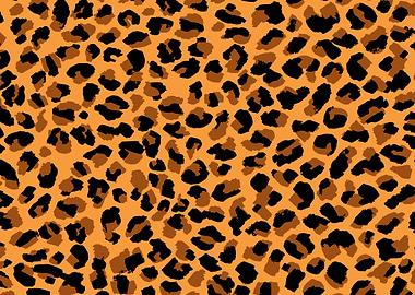 Leopard Skin Texture