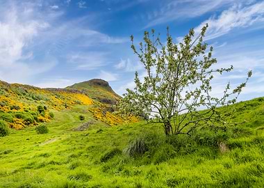 EDINBURGH Holyrood Park