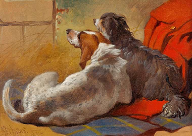 A Hound and a Collie