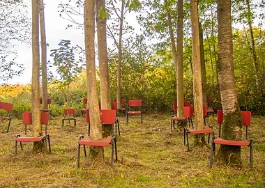 Trees and chairs