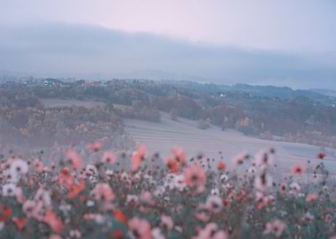 Autumn misty landscape
