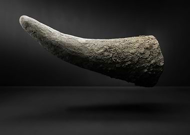 Rhinoceros horn floating
