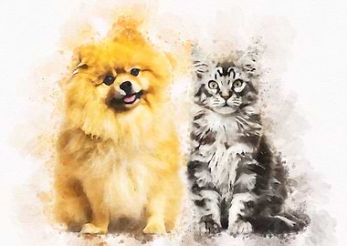 Maine coon kitten spitz