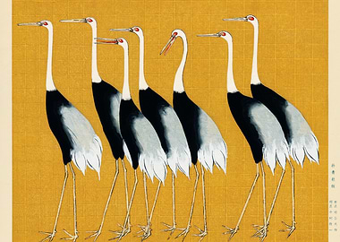 Japanese red crown crane