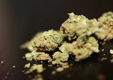 Cannabis buds backgrounds